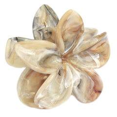 Haarspange Blume Herbst Nahkampf